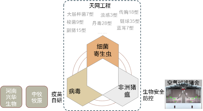 资料来源：《元点发力 底层突破 持续发展》（秦英林，2023），中金公司研究部