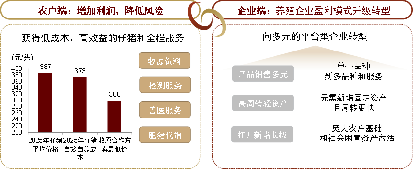 资料来源：新猪派，公司公告，中金公司研究部