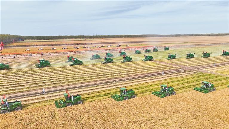 ����ļ��������ڼ��̨����ũ��Эͬ��ҵ������Ƭ���� �������