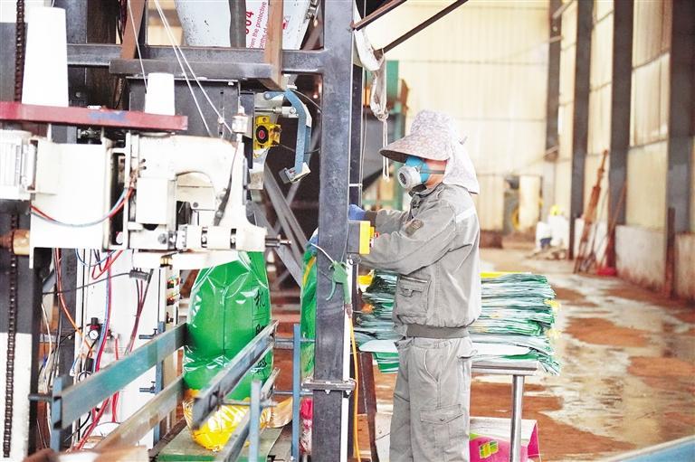 贵州广通农业科技有限公司员工正在忙碌。 杜延卿 摄