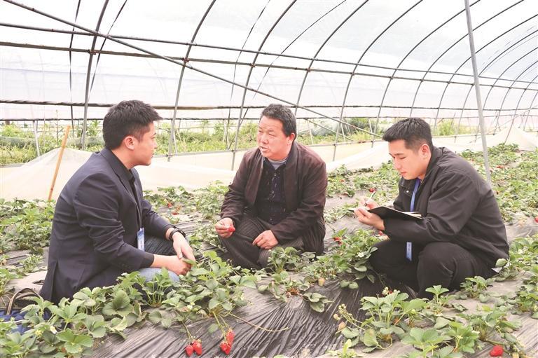 向“蝇贪蚁腐”亮剑 扬苗乡侗寨清风