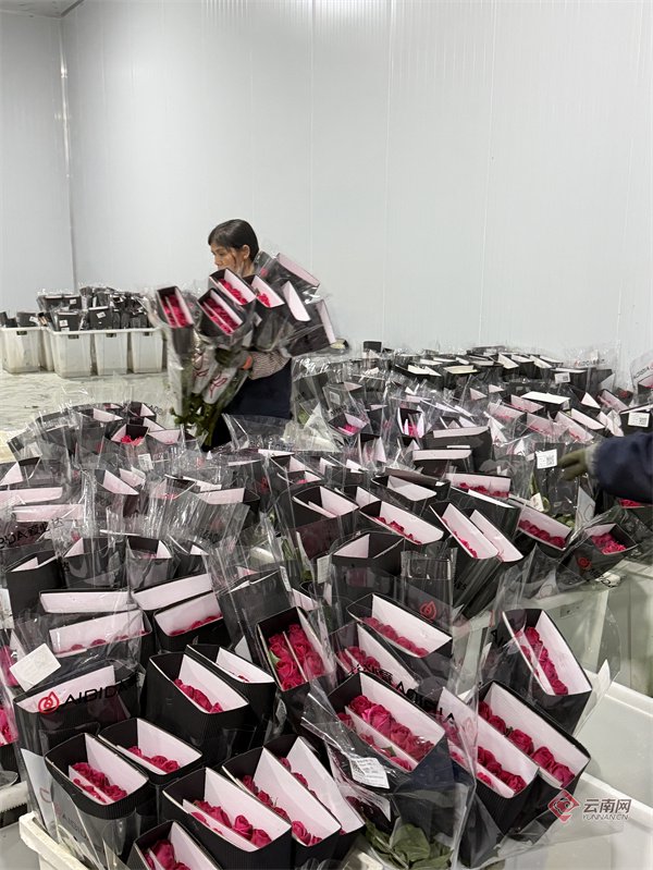 包装好即将发往全国的鲜花