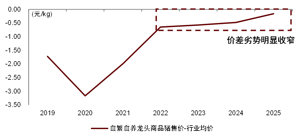 资料来源：公司公告，搜猪网，中金公司研究部