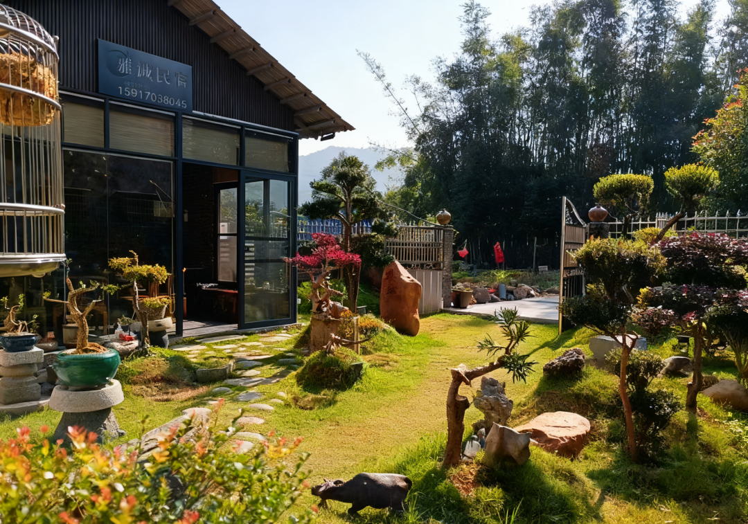 ��ȤСԺ���ޡ�