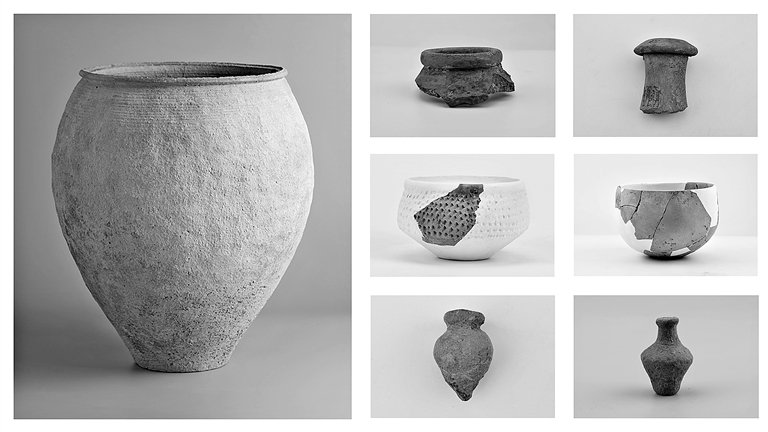 师村遗址出土的仰韶早期陶器。图片由演讲人提供