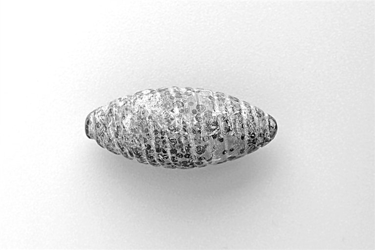 师村遗址出土的石雕蚕蛹。图片由演讲人提供