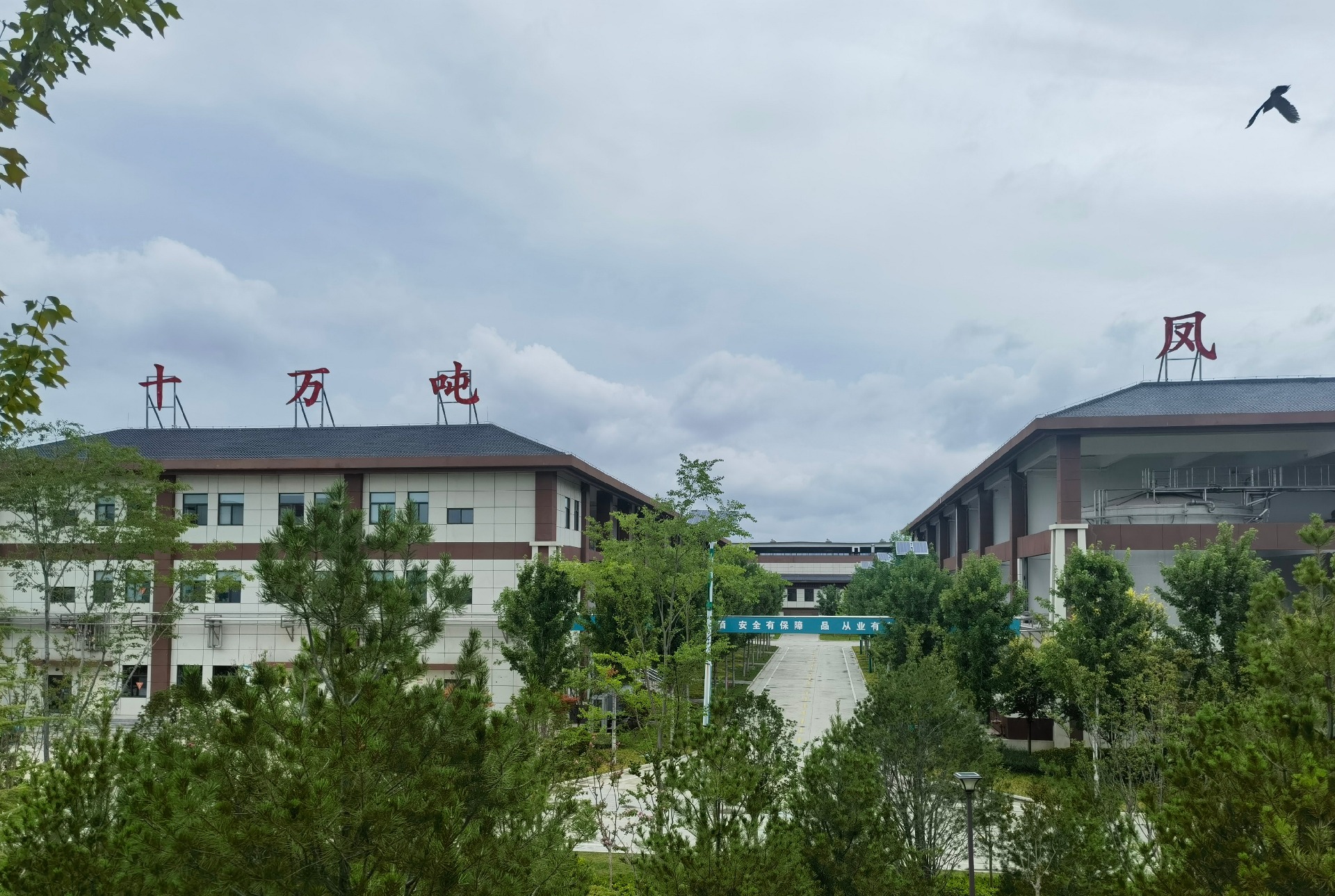 柳林十万吨储酒库