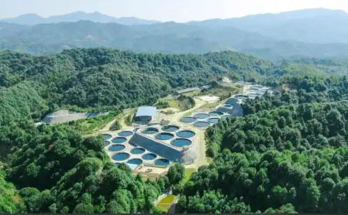 　　赣南稀土矿山。图源：中国稀土集团