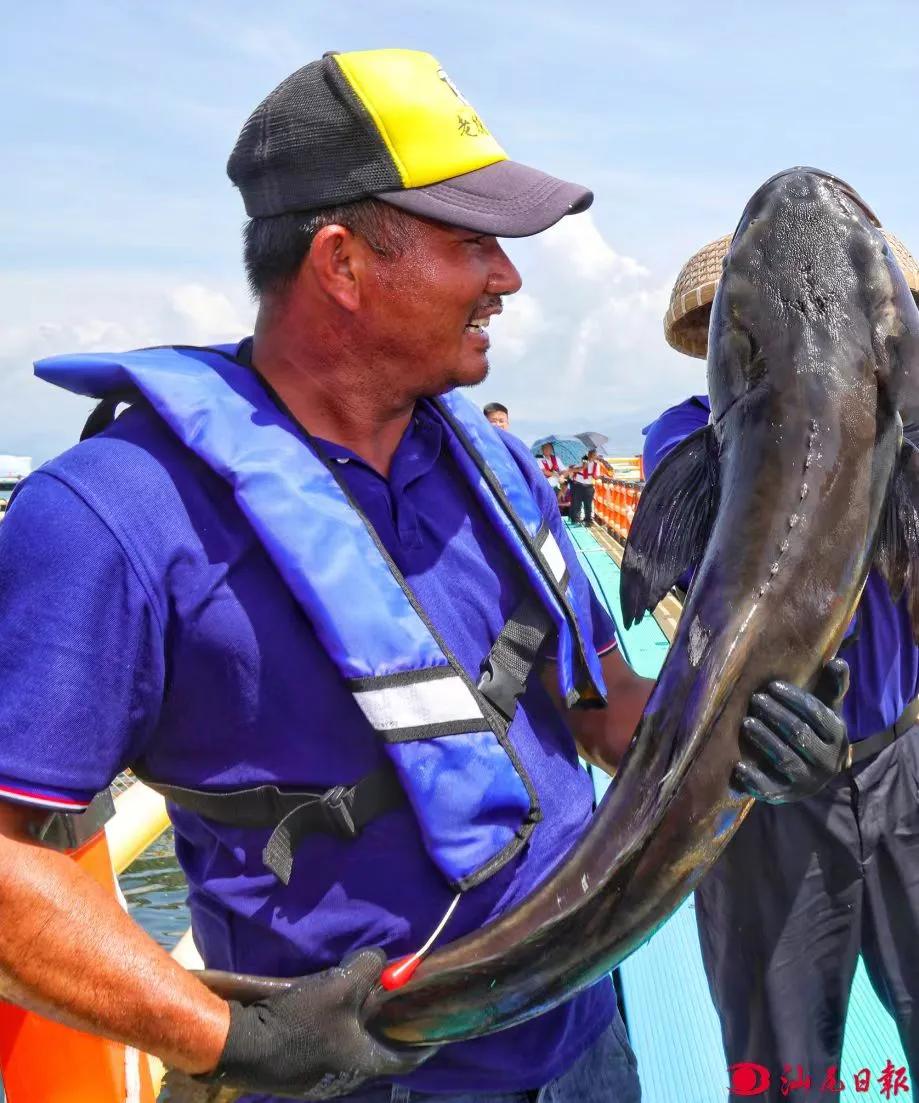 城区全力抓海洋牧场全链建设。