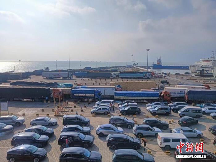在徐聞港排隊過海車輛。鄭力巍 攝