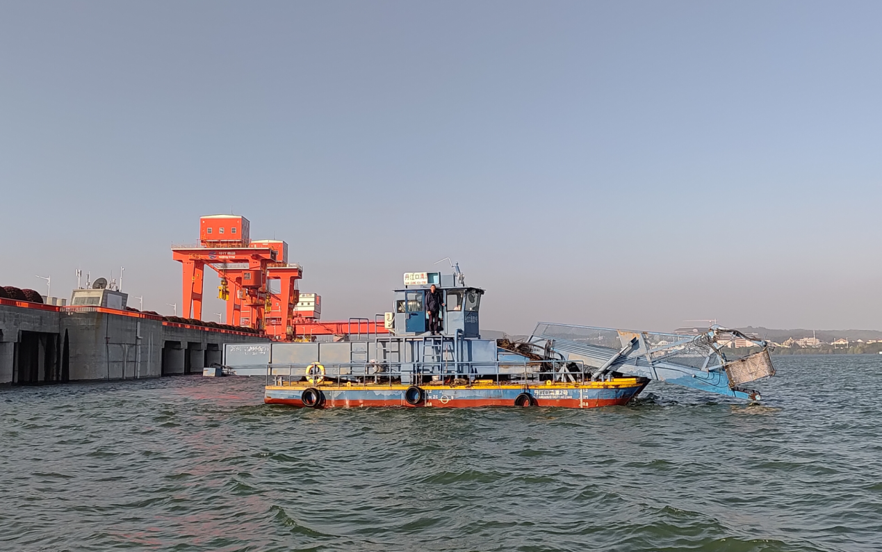 清漂船在丹江口大坝附近水域作业（央广网记者 张卓 摄）