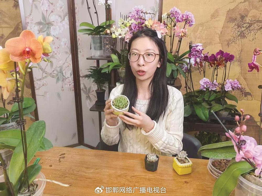 主播岳梓田正在直播销售多肉植物。张丹 摄