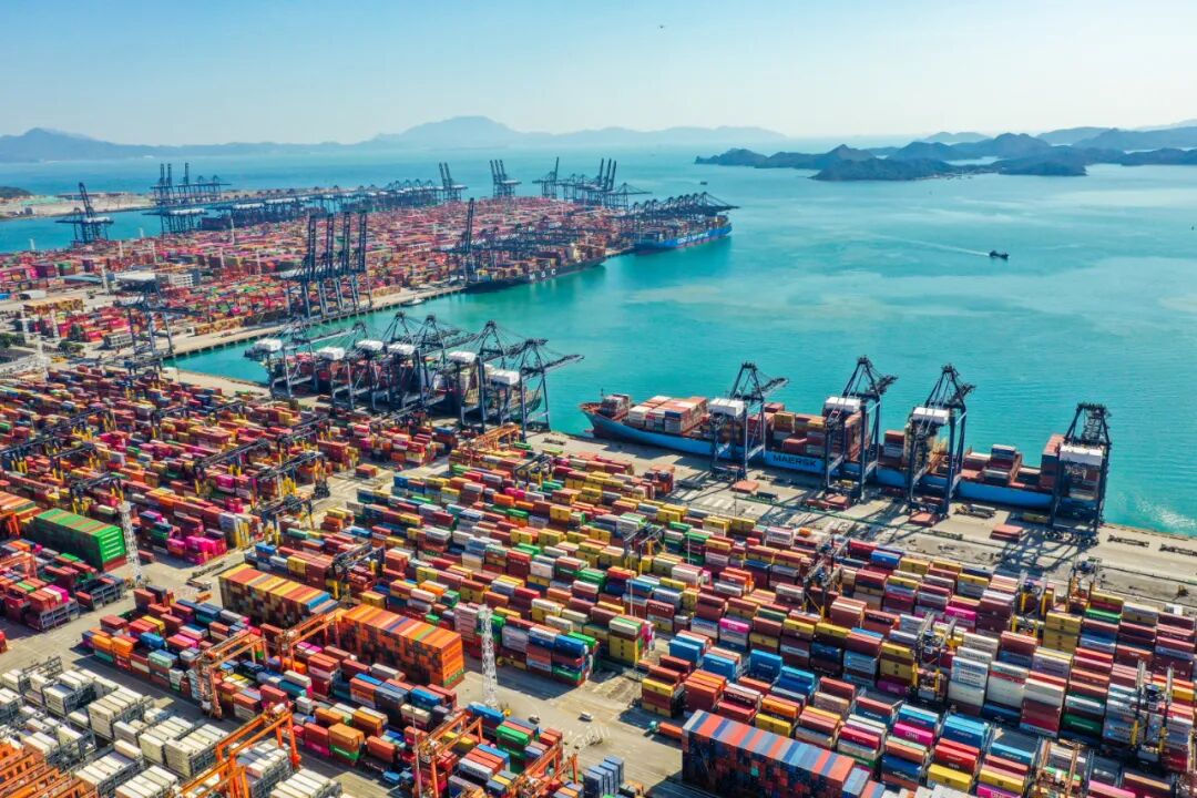 深圳特区报&读特记者 刘羽洁 摄