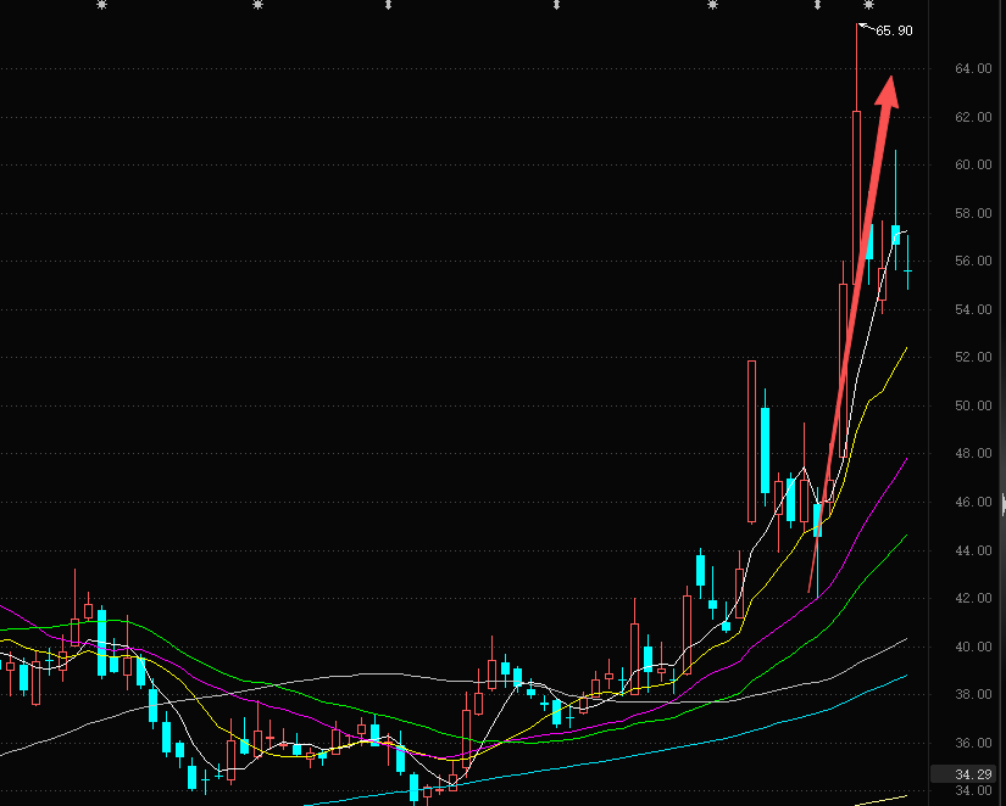 截图来源于东方财富