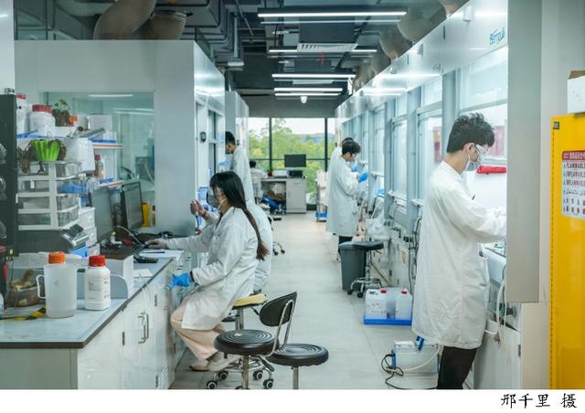 图为上海一家生物医药企业的研发中心内景。