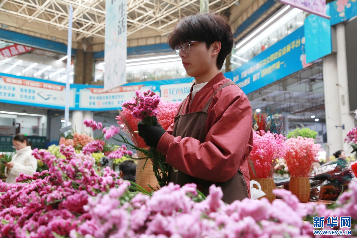 2月8日，在云南昆明斗南花卉市场，商贩修剪花卉供顾客选购。新华网发（薛莹莹 摄）