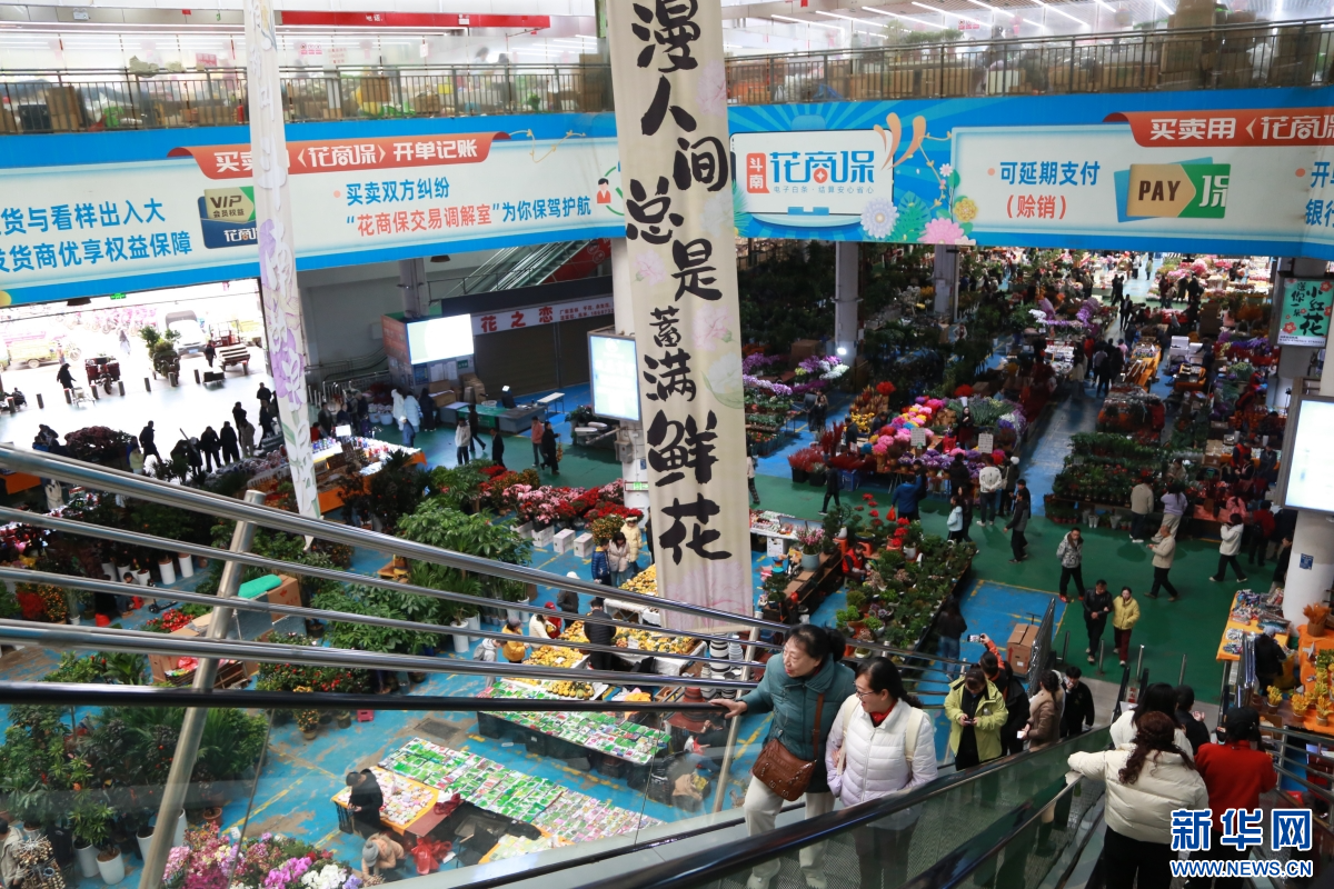 2月8日，云南昆明斗南花卉市场人来人往。新华网发（薛莹莹 摄）