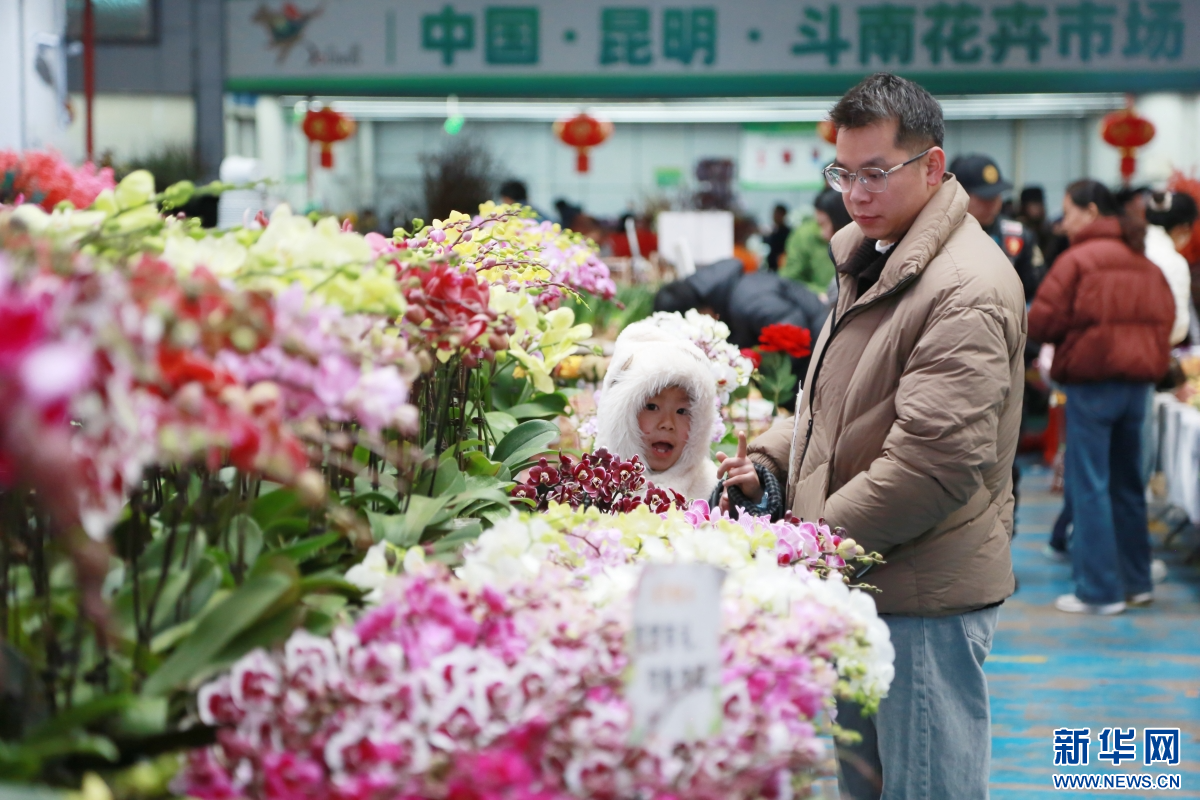 2月8日，人们在云南昆明斗南花卉市场内选购鲜花。新华网发（薛莹莹 摄）