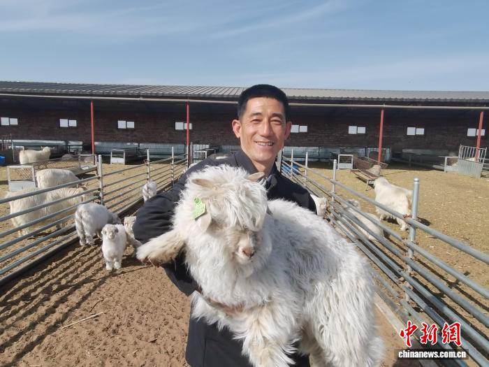 2月9日，高小平在自家羊场抱起一只小羊羔。　中新社记者 李爱平 摄