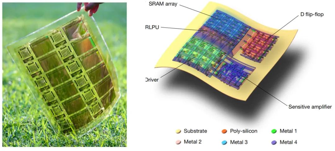 柔性芯片实物图与三维结构示意图