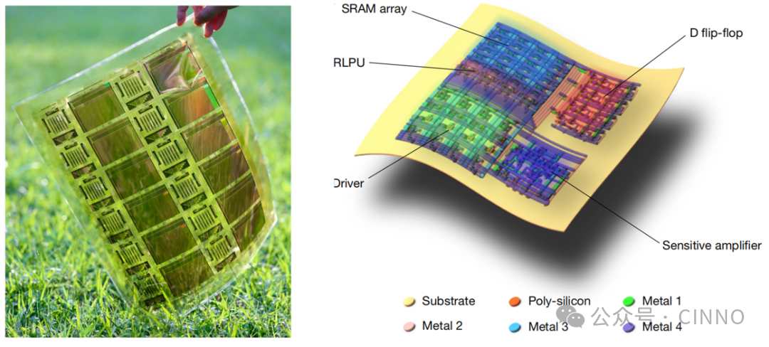柔性芯片实物图与三维结构示意图