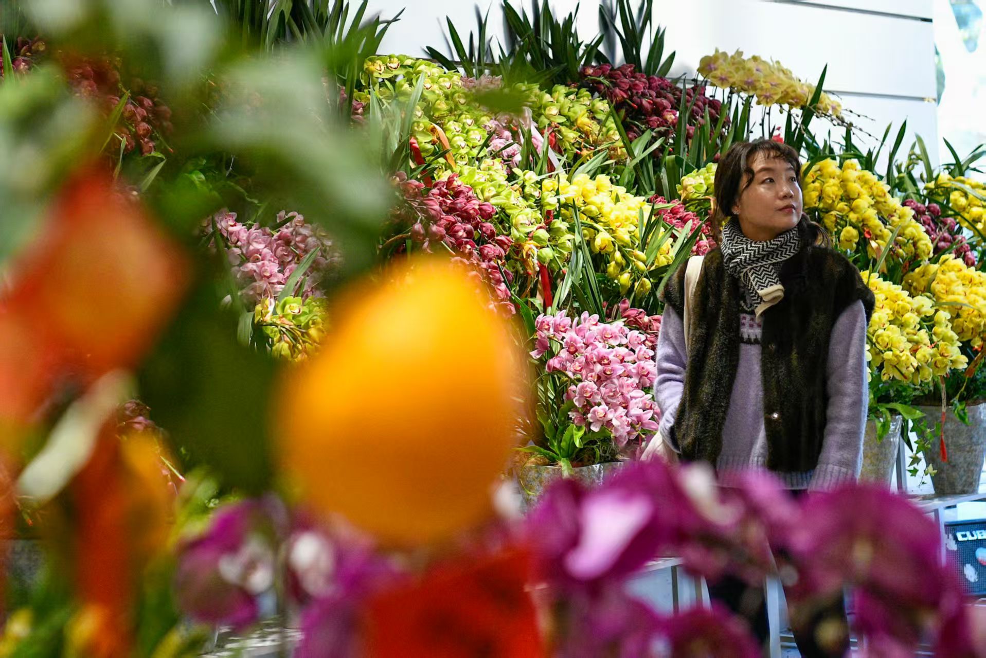 花卉盛宴成为申城新春文旅流量担当。劳动报记者颜筱依 摄影