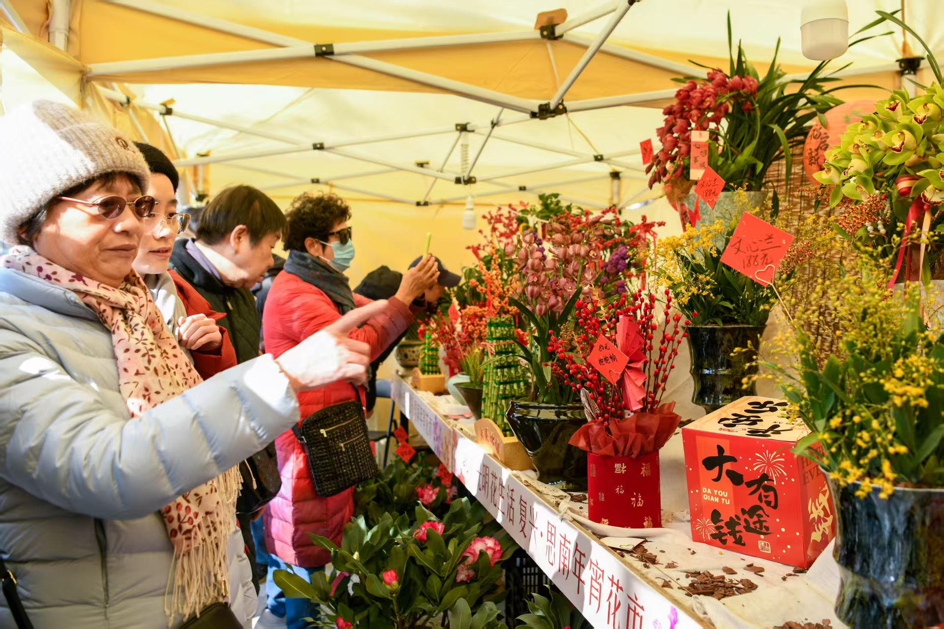 市民挑选喜爱的年宵花。劳动报记者颜筱依 摄影