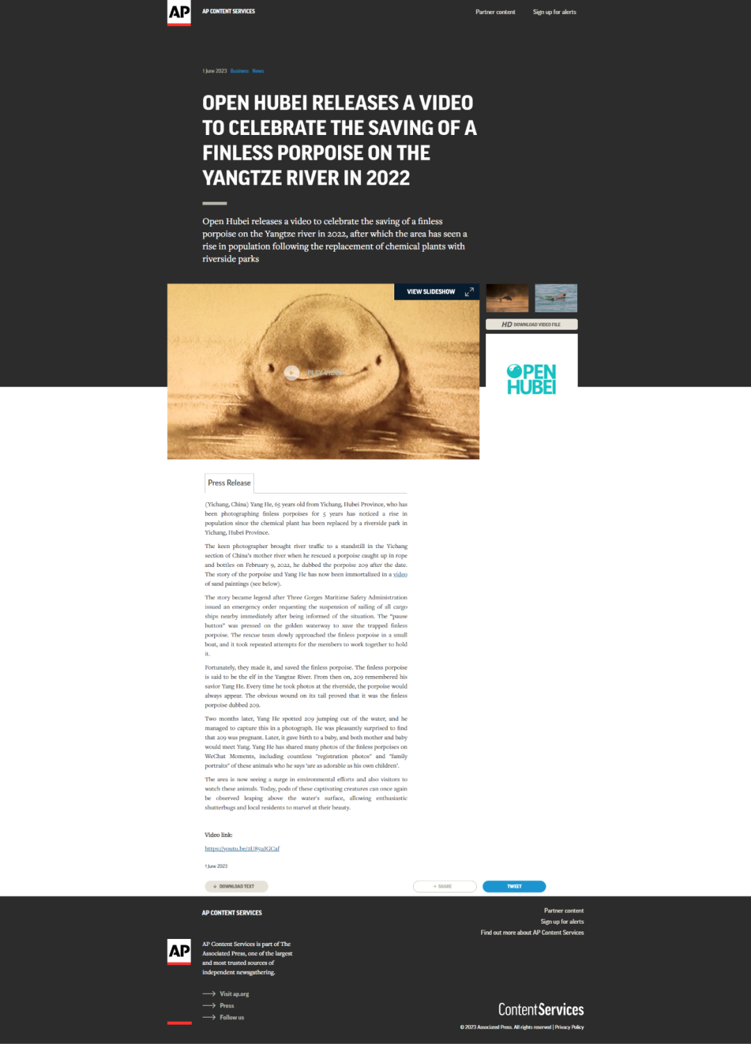 美联社报道截图