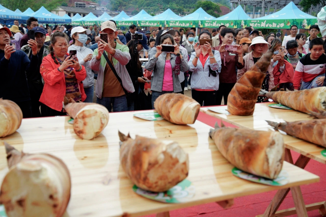 思茅区举办甜龙竹笋丰收旅游季活动。
