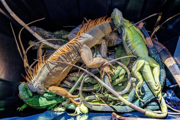 责任编辑：落木