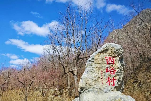 昌平西峪橡树谷木栈道 | 闯进“绿野仙踪”，打卡“小众秘境”