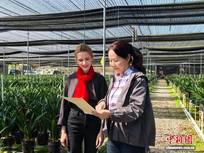 鄒蔚苓(右一)指導突擊隊成員工作。記者 張璐 攝