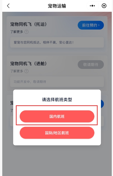 川航小程序可办理宠物托运