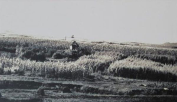 趙一曼犧牲地，珠河縣（今尚誌市）小北門外