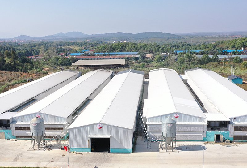 茶杉禽業富硒蛋雞養殖基地，一棟棟標準化養殖場房整齊林立。韓興龍攝
