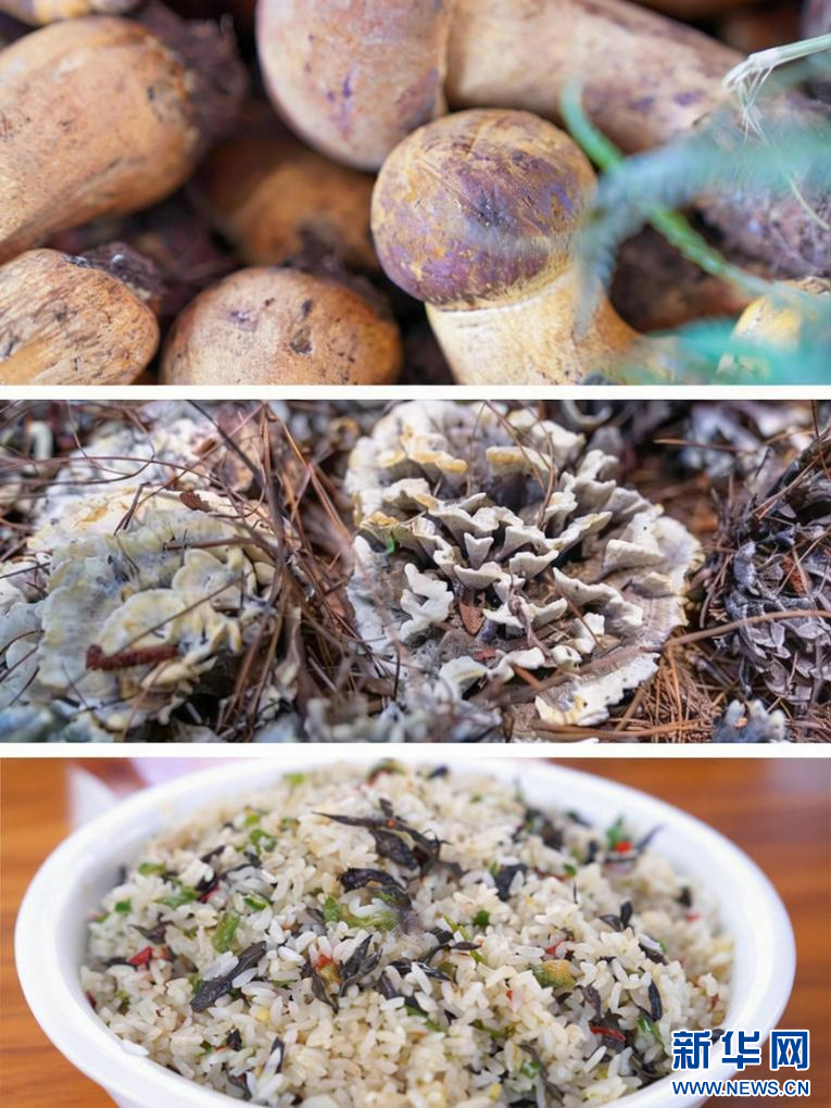 雲南野生菌和炒飯拚圖（資料圖）。
