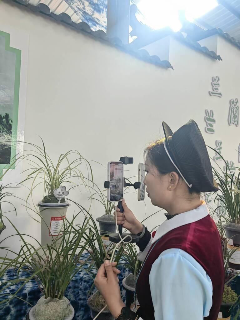      鶴慶縣新晉女主播正在蘭博會現場直播 張苑 攝