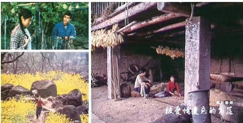 《被愛情遺忘的角落》劇照。丹棱縣黨史和地方誌編纂中心供圖