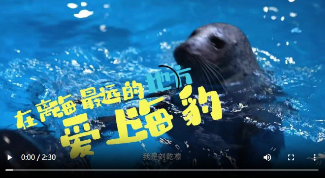 在离海最远的地方爱上海豹