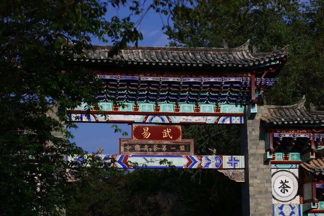 圖源：猛臘發佈