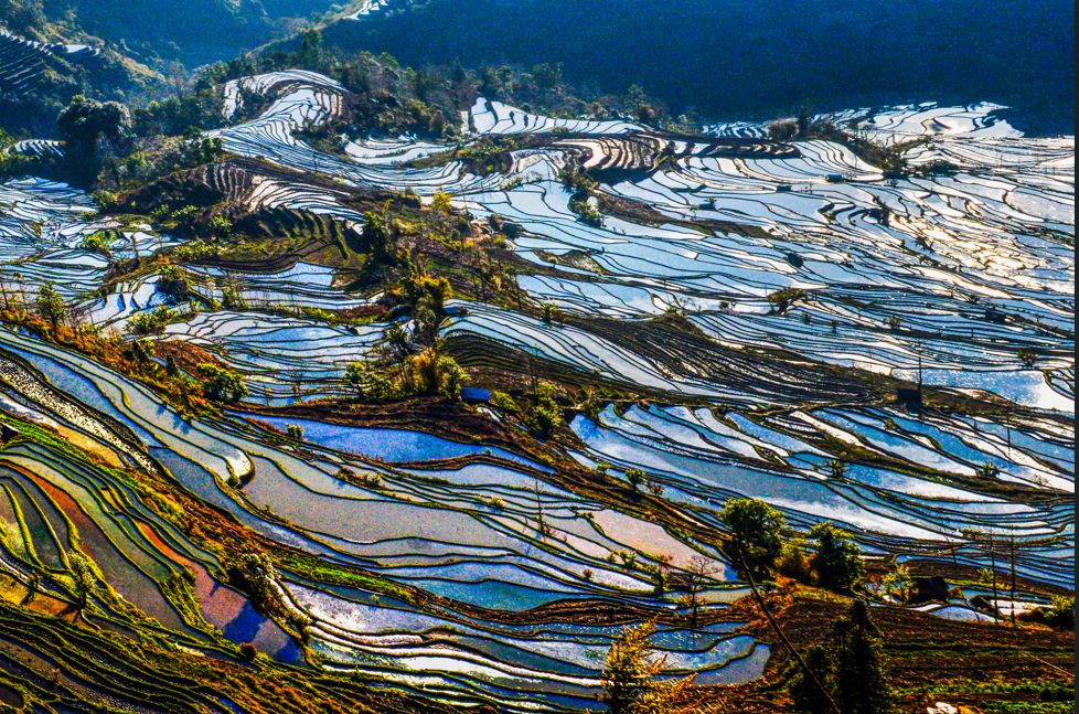 李湘憐 攝