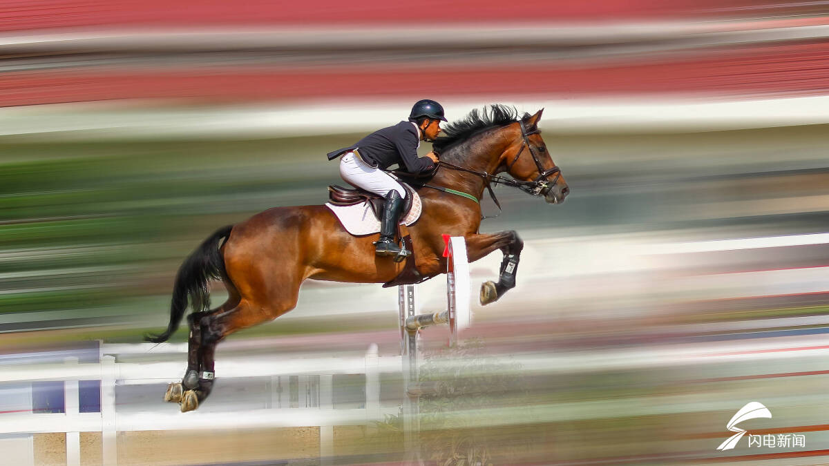 追光记丨愿你以梦为马 奔腾向前