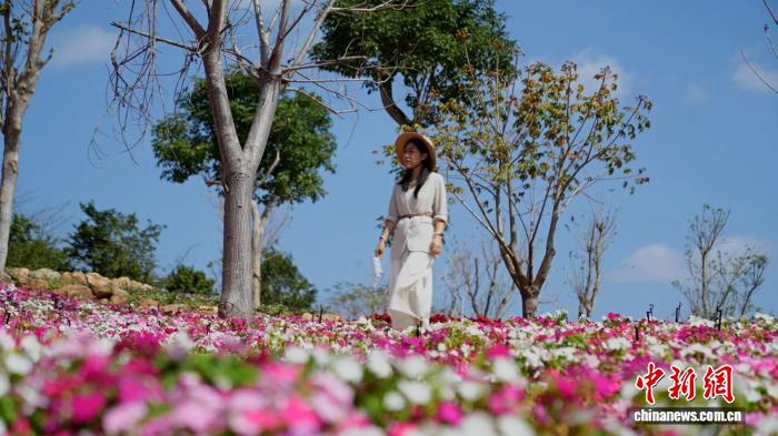 遊客在儋州花源田農旅產業園遊玩。(儋州花源田農旅產業園 供圖)