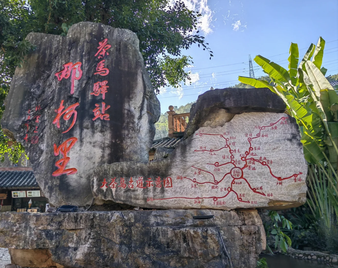 圖源：普洱發佈