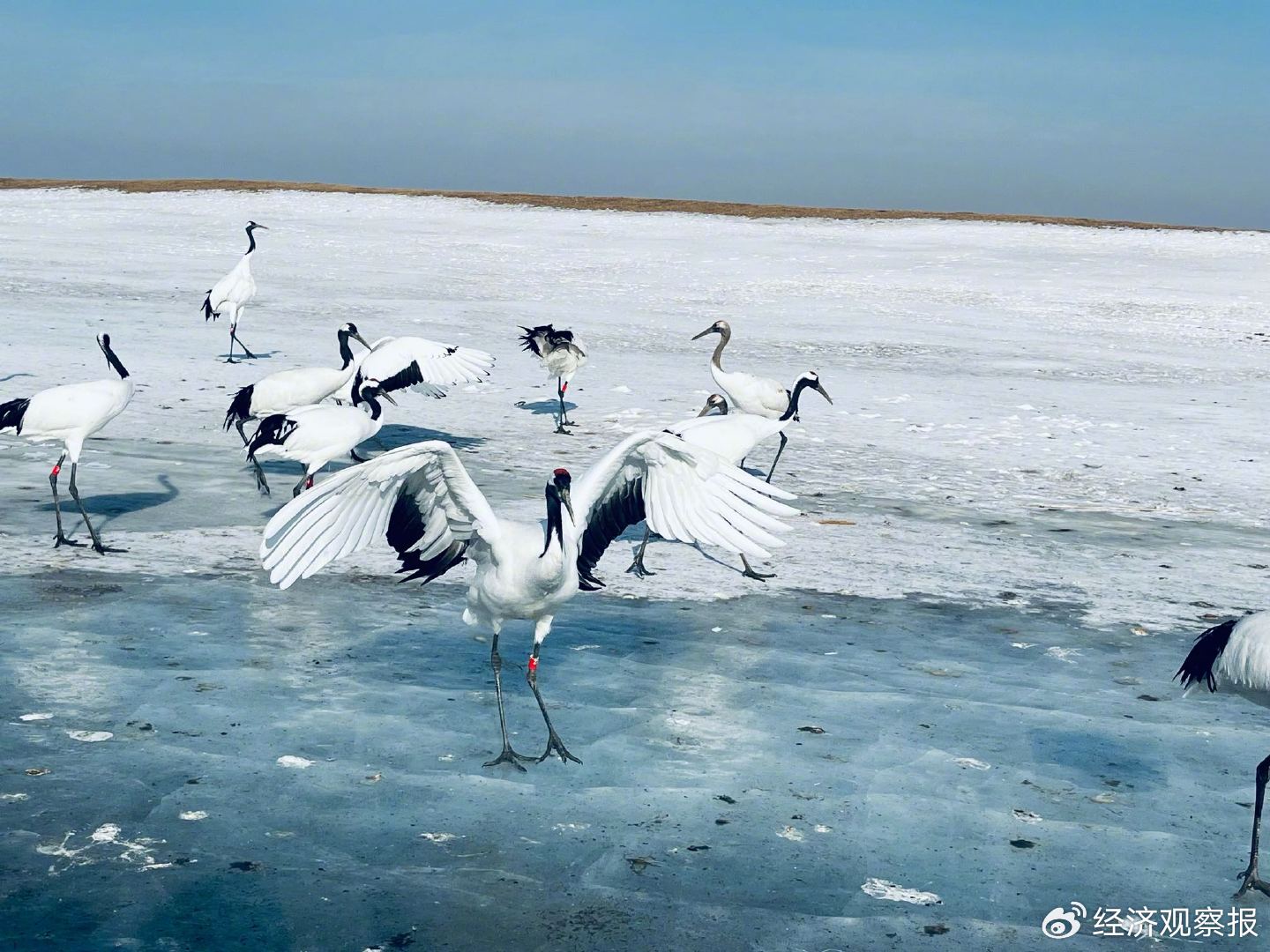 齐齐哈尔，如何找回失去的荣光？｜故乡里的中国