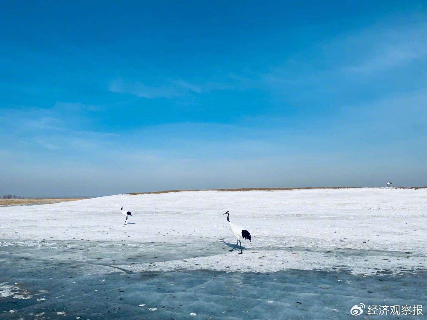 齐齐哈尔，如何找回失去的荣光？｜故乡里的中国