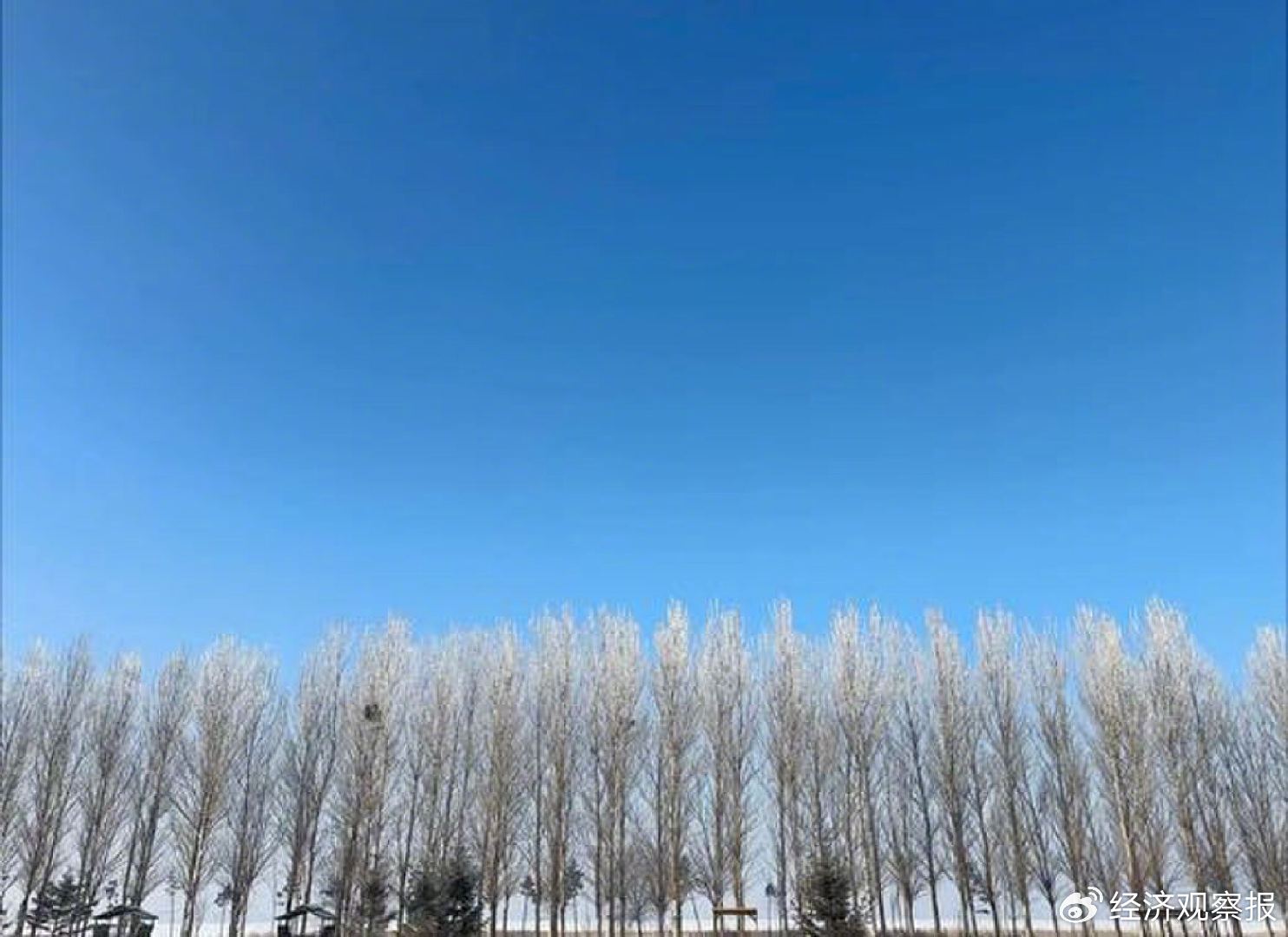 齐齐哈尔，如何找回失去的荣光？｜故乡里的中国