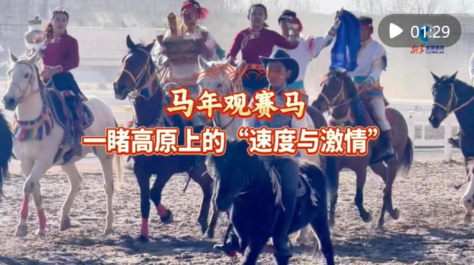 全球连线｜马年观赛马：一睹高原上的“速度与激情”