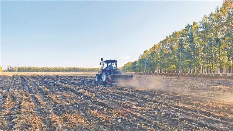 北大荒农业股份二九一分公司秸秆粉碎还田（资料片）。吴琼摄