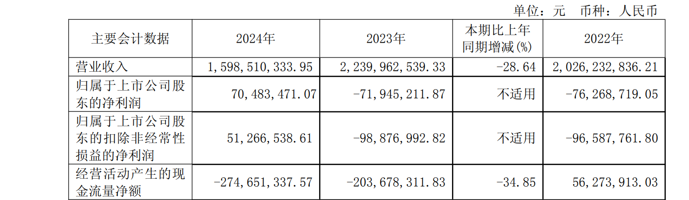 图/江苏吴中2024年年报截图